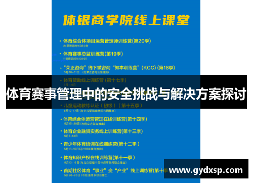 体育赛事管理中的安全挑战与解决方案探讨